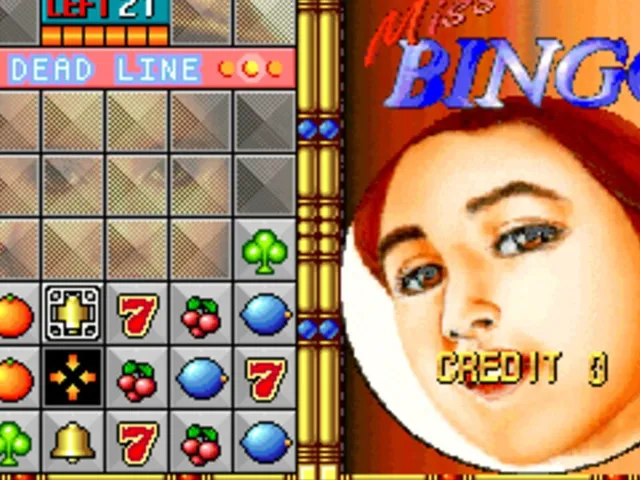 Miss Bingo