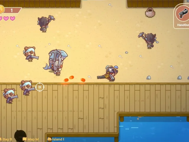 Miss Neko: Pirates