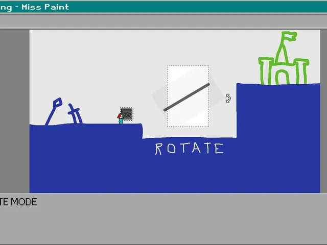 Miss Paint