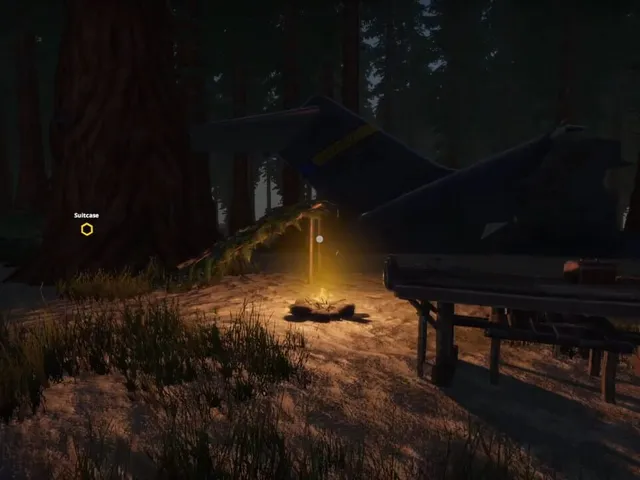 Missing Plane: Survival