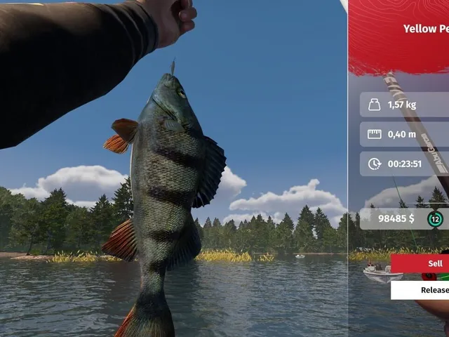MLF: Pro Catch