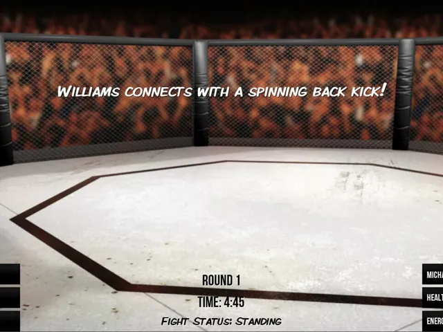 MMA Simulator