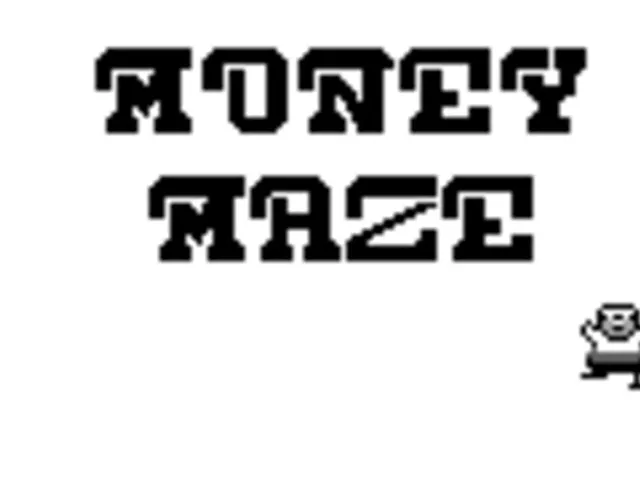 Money Maze