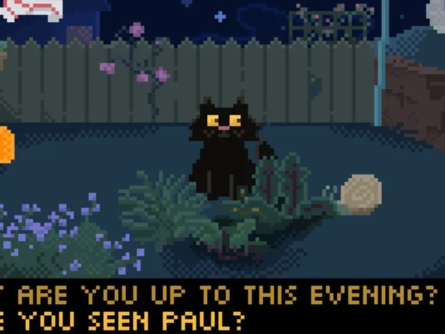 Moonlight Moggy