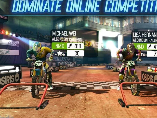 Motocross Meltdown