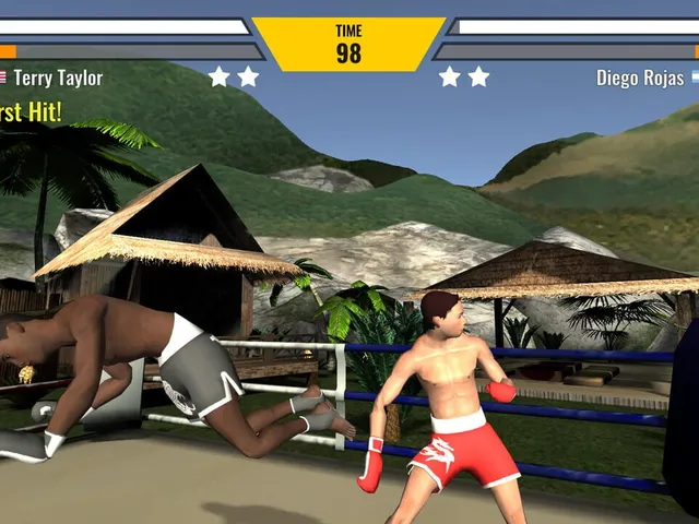 Muay Thai Fighting