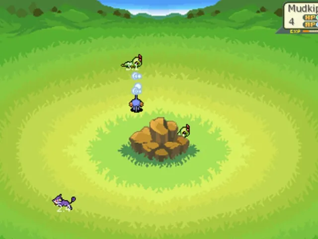 Mudkip Adventures