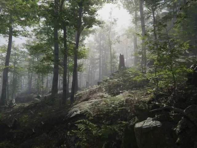 Mushroom Collector Simulator