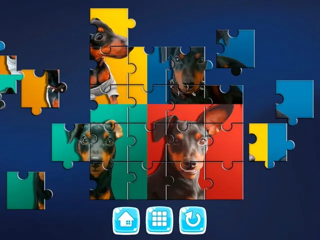 My Dog!