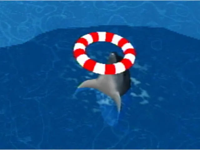 My Dolphin