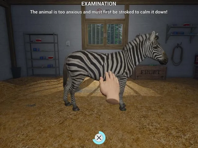 My Life: Zoo Vet