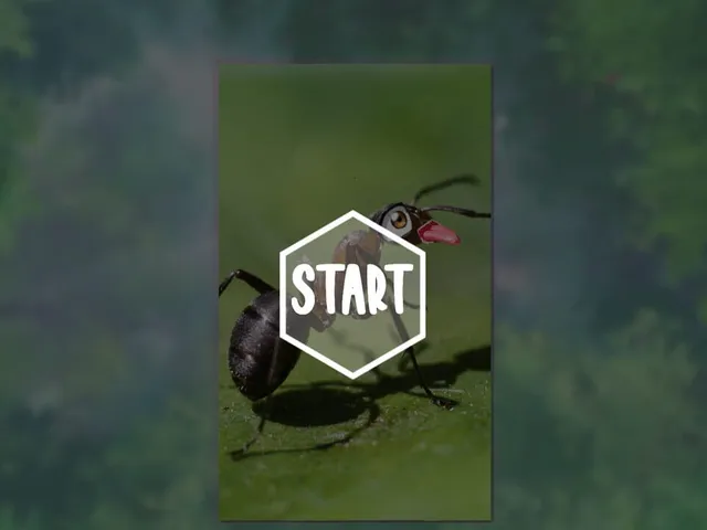 My Sweet Ants!