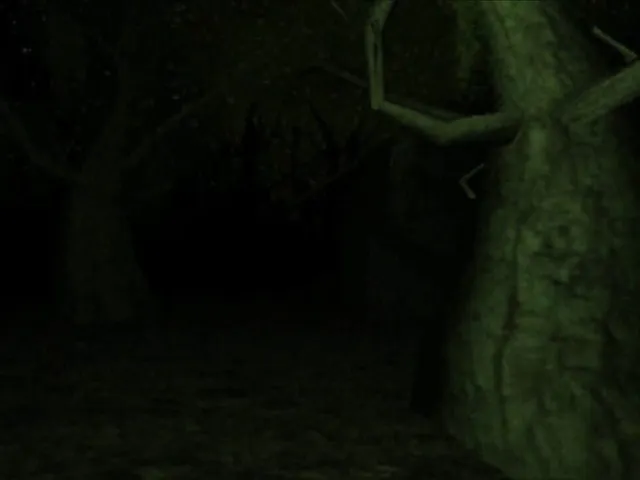 Myristica