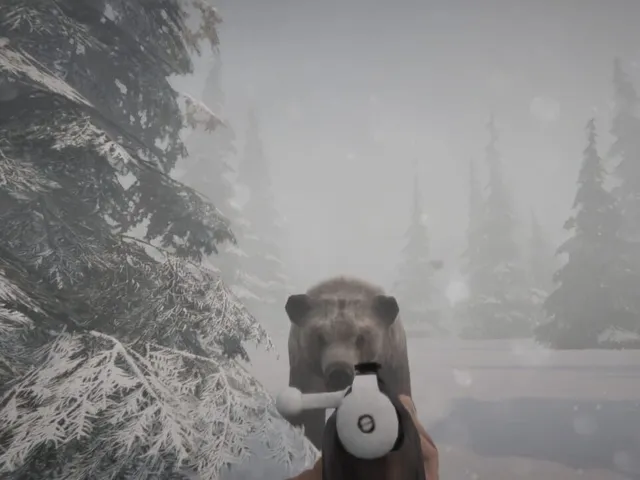 Mystery Trails