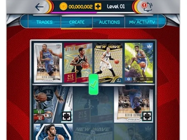 NBA Panini Dunk