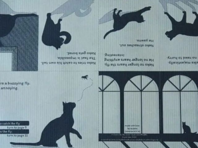 Neko: The Black Cat