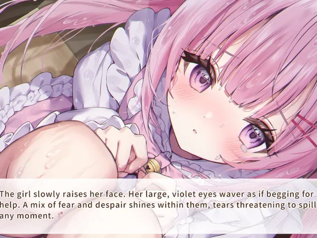 Nekomimi Days: 365 Days With You