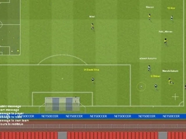Netsoccer2