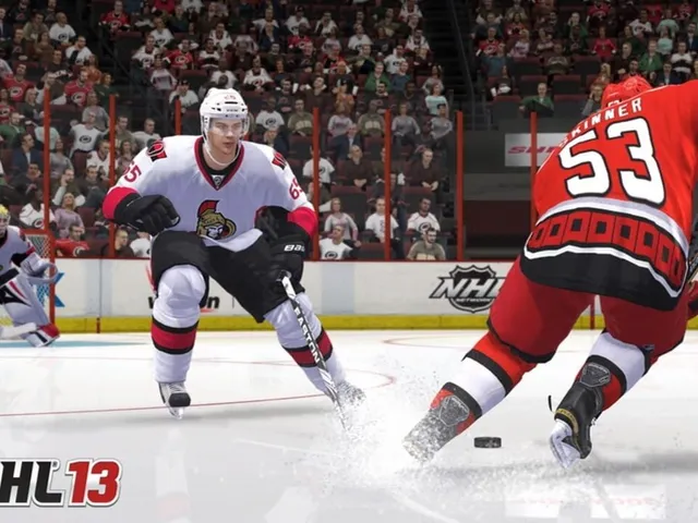 NHL 13