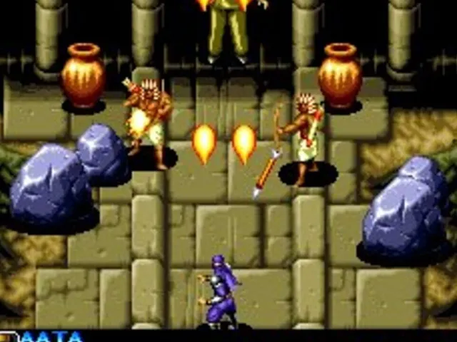 Ninja Commando