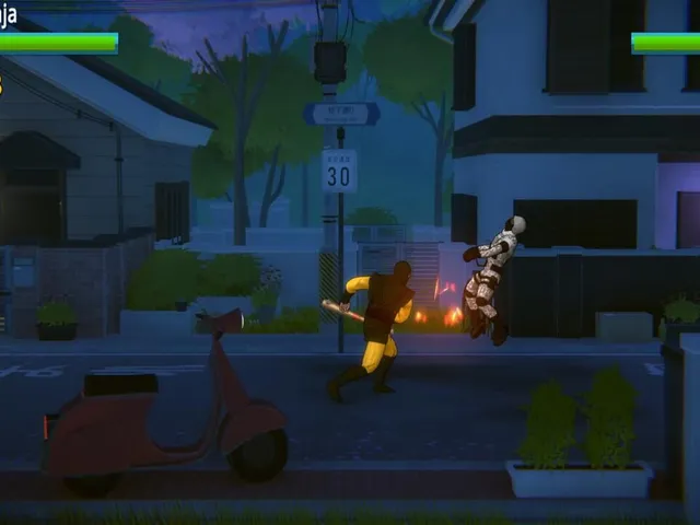 Ninja Fight
