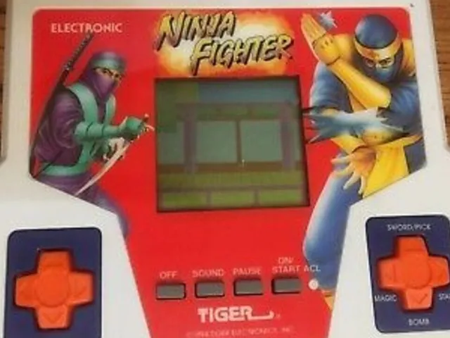 Ninja Fighter
