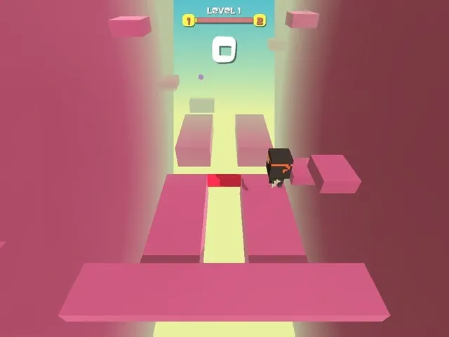 Ninja Flip