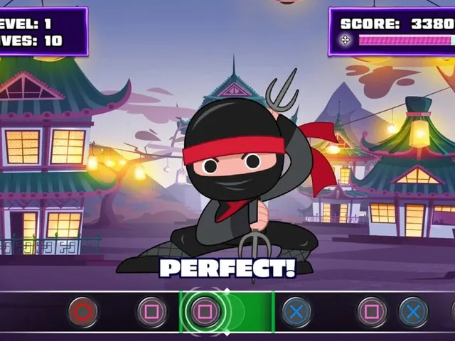 Ninja Fun