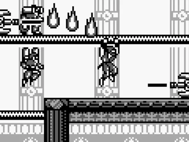 Ninja Gaiden Shadow