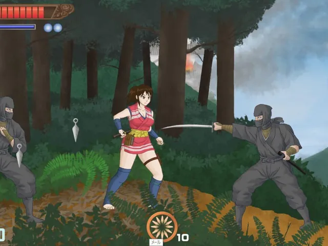 Ninja Girl