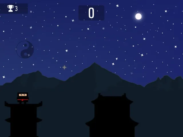 Ninja Jump