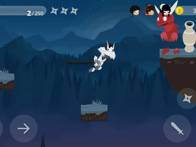 Ninja Knight
