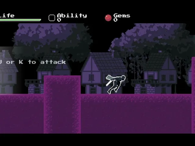 Ninja Ruins