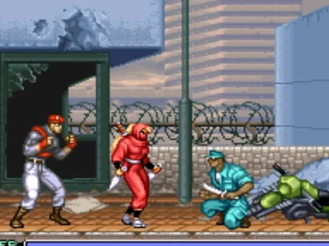 Ninja Warriors