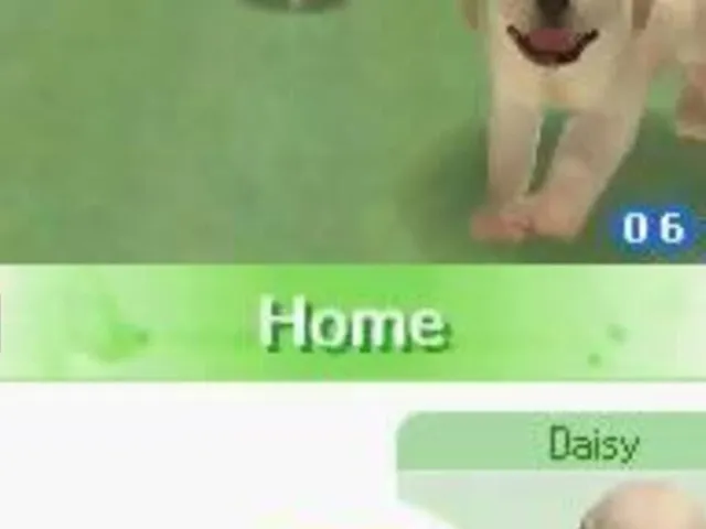 Nintendogs: Chihuahua & Friends