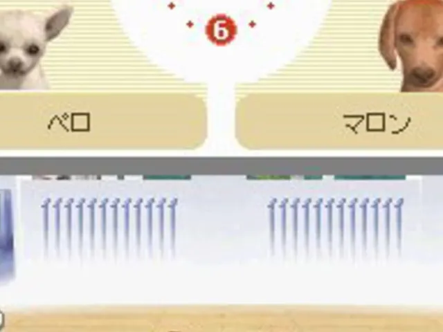 Nintendogs: Dachshund & Friends