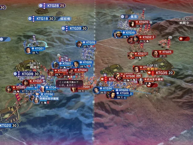 Nobunaga's Ambition: Hadou