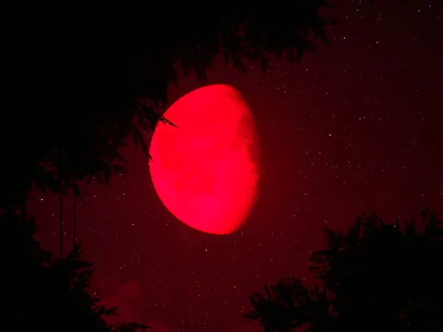 Null