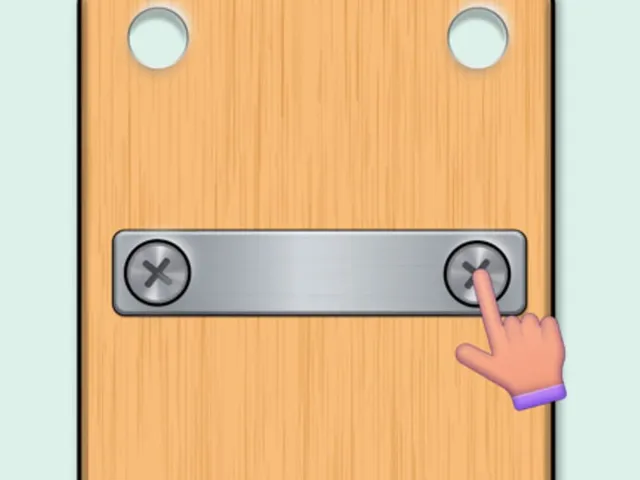 Nuts & Bolts Puzzle