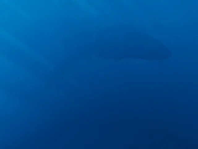 Obscurum