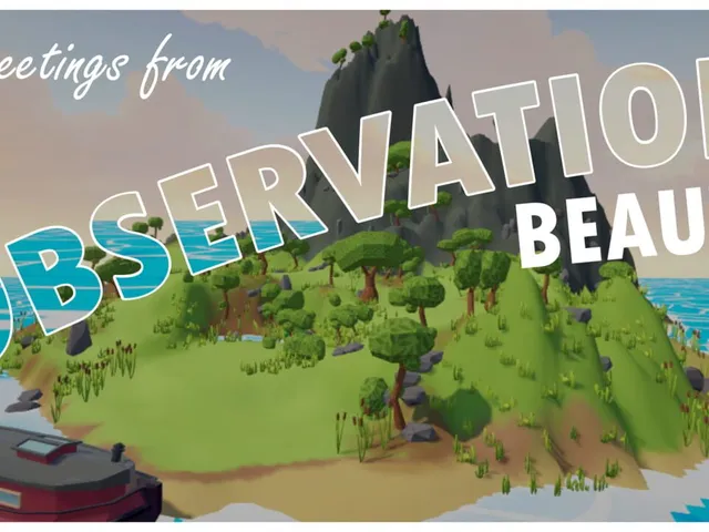 Observation Beauty