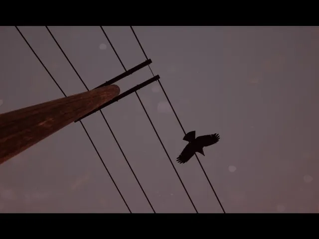 Of Bird and Cage