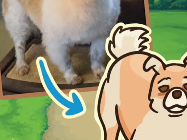 Old Friends Dog Game