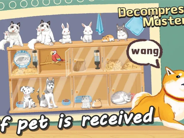 Organization Master