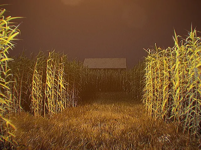 Outfield