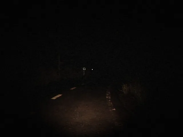 Owlman