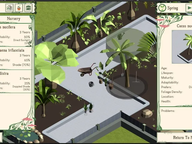 Palm Paradise Garden