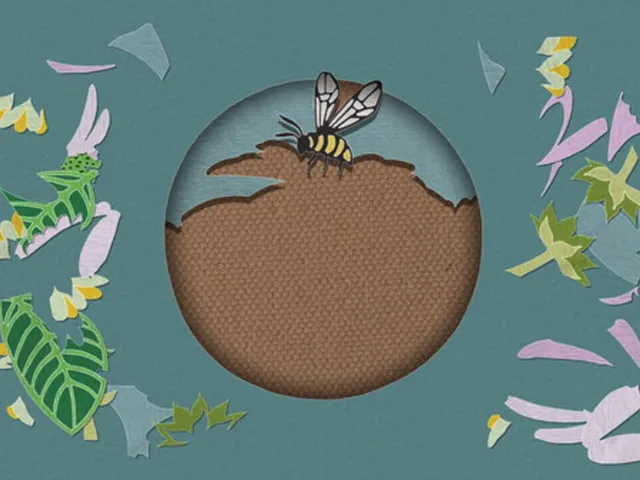 Papercut Art Gallery: Nature