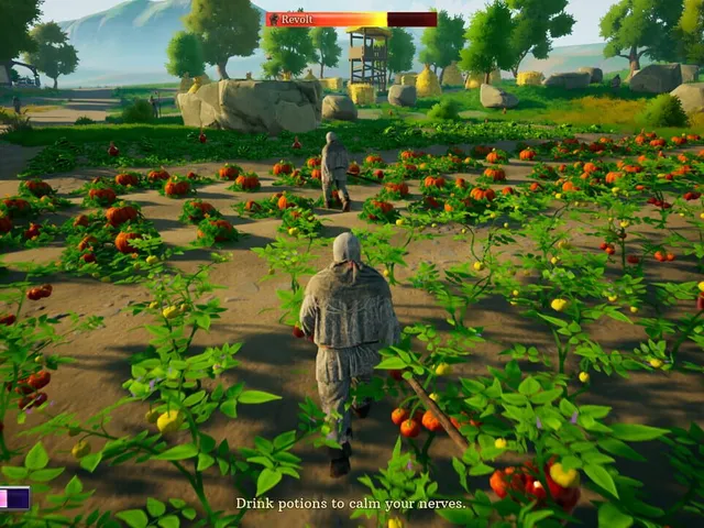 Peasant or Rebel?