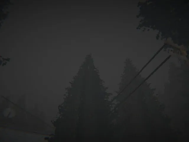 People In The Dark